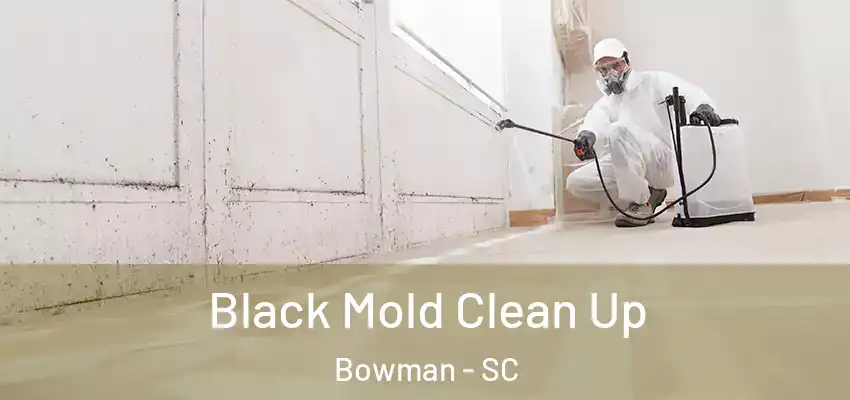 Black Mold Clean Up Bowman - SC