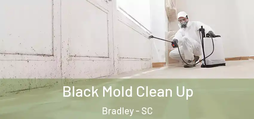  Black Mold Clean Up Bradley - SC