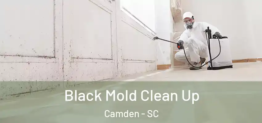  Black Mold Clean Up Camden - SC