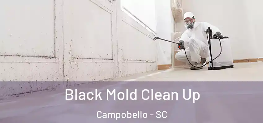  Black Mold Clean Up Campobello - SC