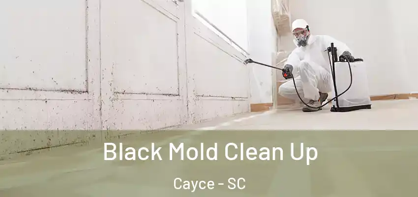  Black Mold Clean Up Cayce - SC