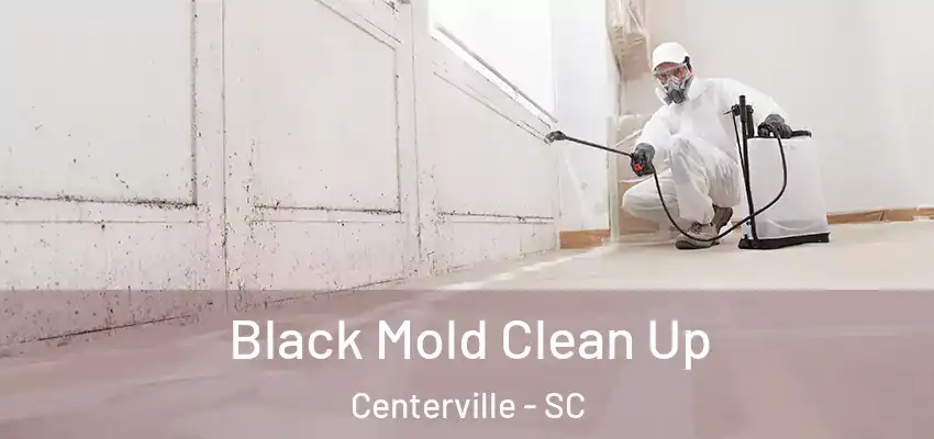 Black Mold Clean Up Centerville - SC