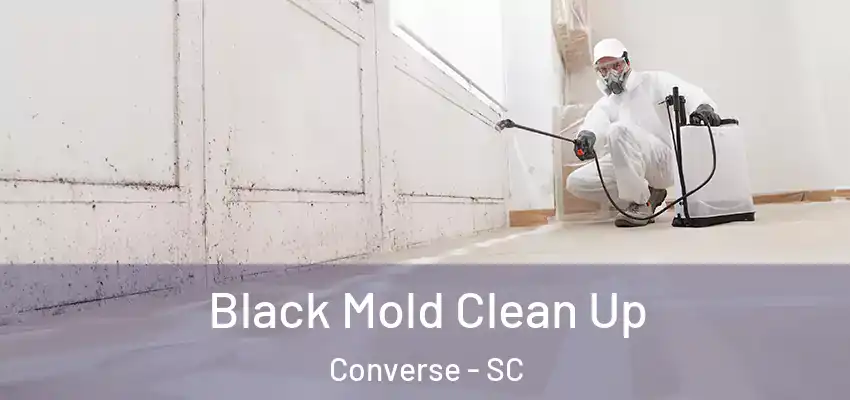 Black Mold Clean Up Converse - SC
