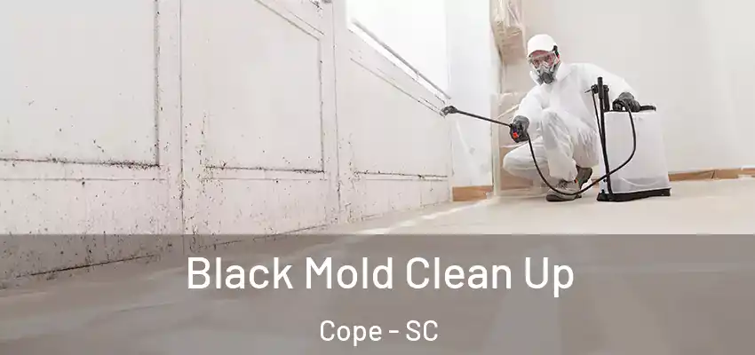 Black Mold Clean Up Cope - SC