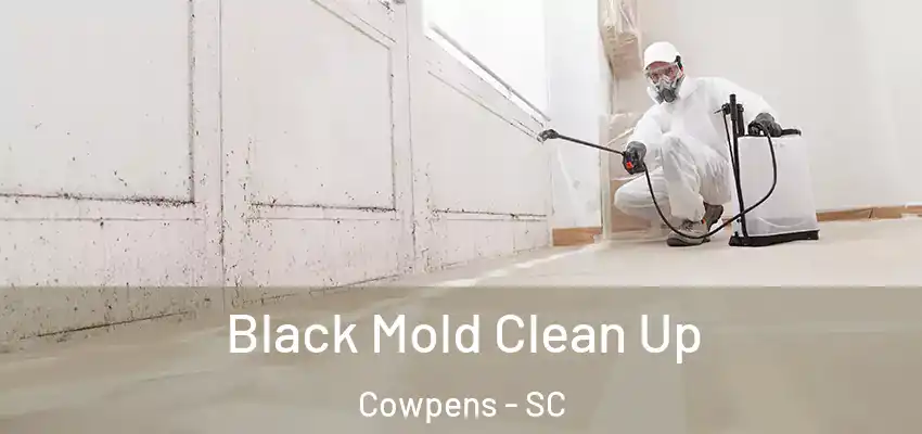  Black Mold Clean Up Cowpens - SC