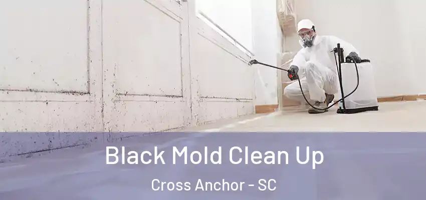  Black Mold Clean Up Cross Anchor - SC