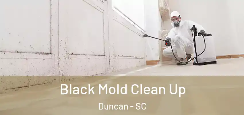 Black Mold Clean Up Duncan - SC