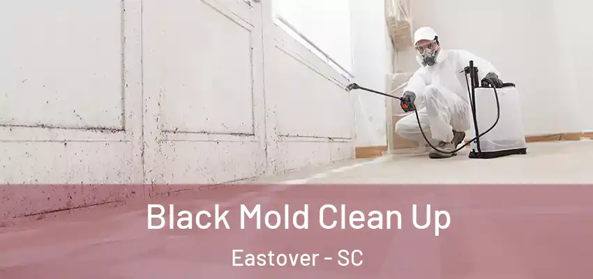  Black Mold Clean Up Eastover - SC
