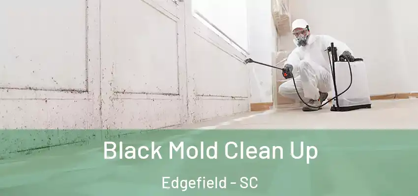 Black Mold Clean Up Edgefield - SC