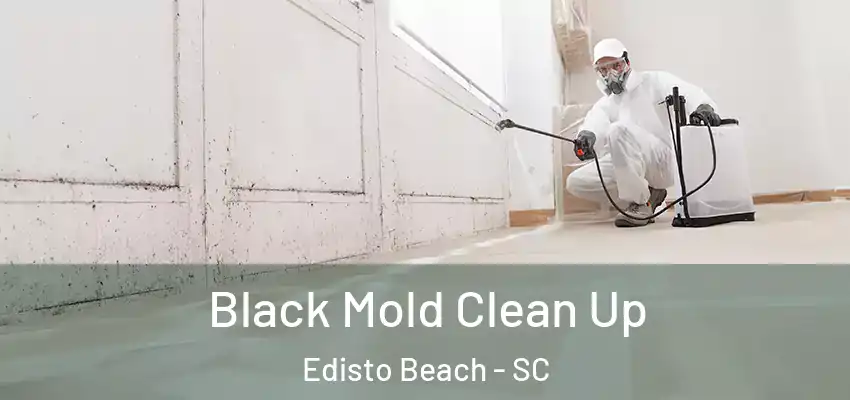 Black Mold Clean Up Edisto Beach - SC