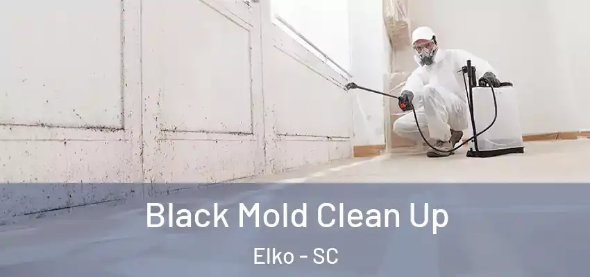 Black Mold Clean Up Elko - SC