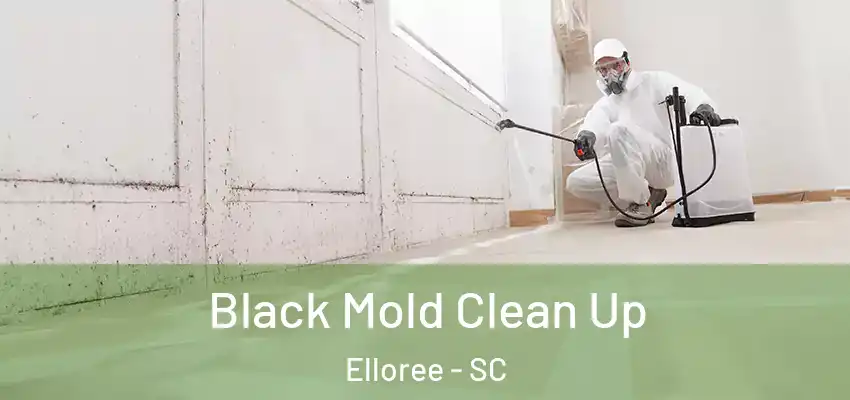  Black Mold Clean Up Elloree - SC