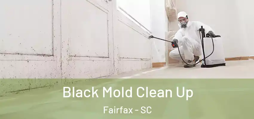  Black Mold Clean Up Fairfax - SC