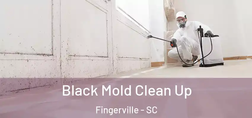  Black Mold Clean Up Fingerville - SC