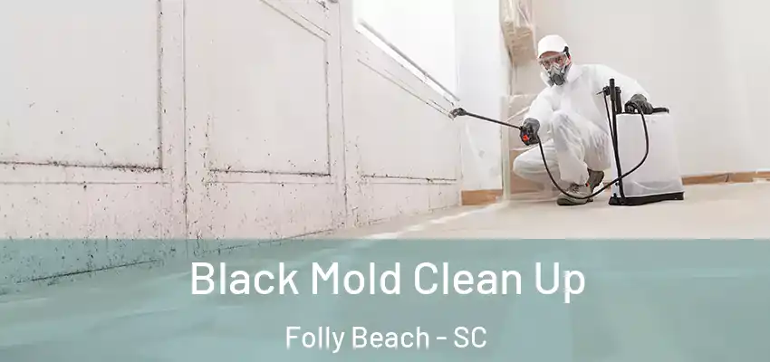  Black Mold Clean Up Folly Beach - SC