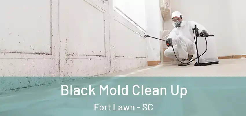  Black Mold Clean Up Fort Lawn - SC