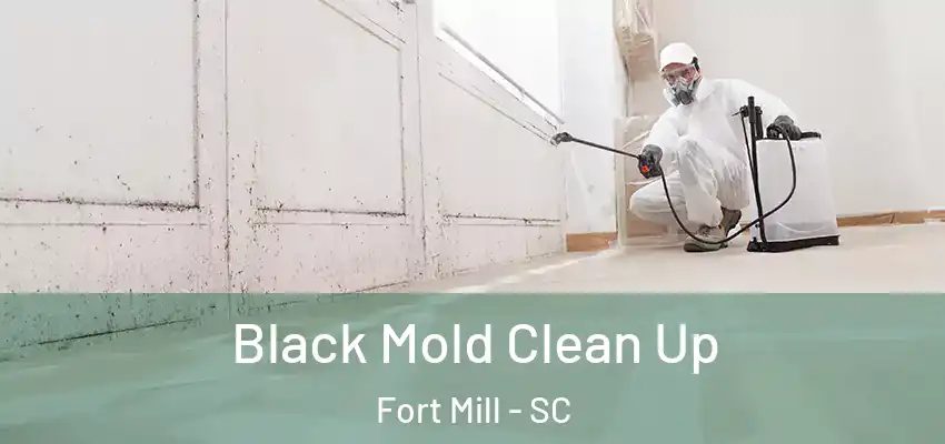  Black Mold Clean Up Fort Mill - SC