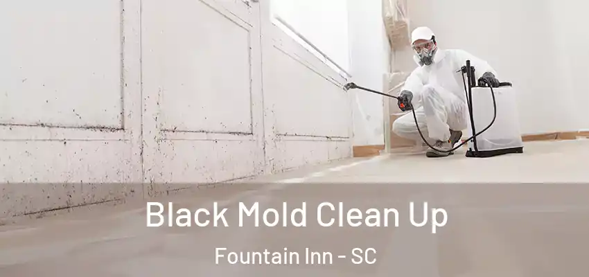 Black Mold Clean Up Fountain Inn - SC