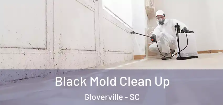 Black Mold Clean Up Gloverville - SC