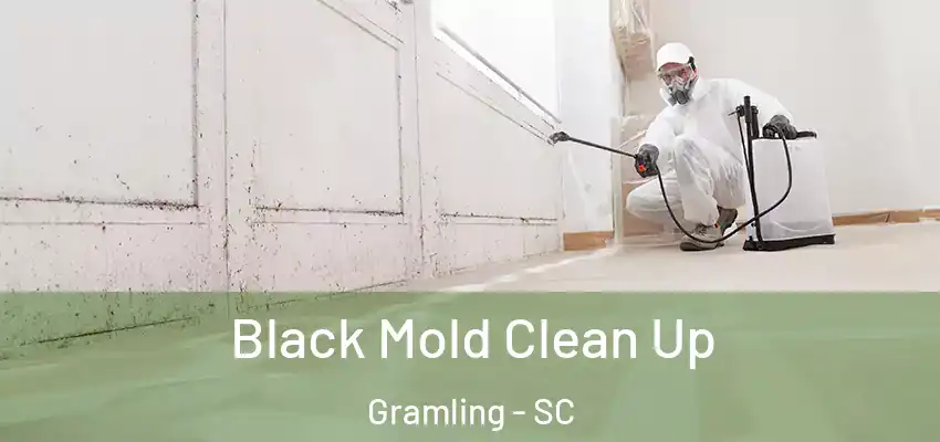 Black Mold Clean Up Gramling - SC