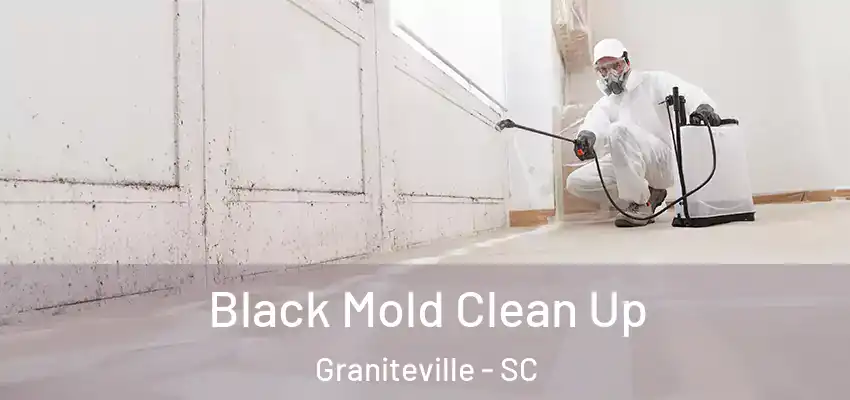 Black Mold Clean Up Graniteville - SC