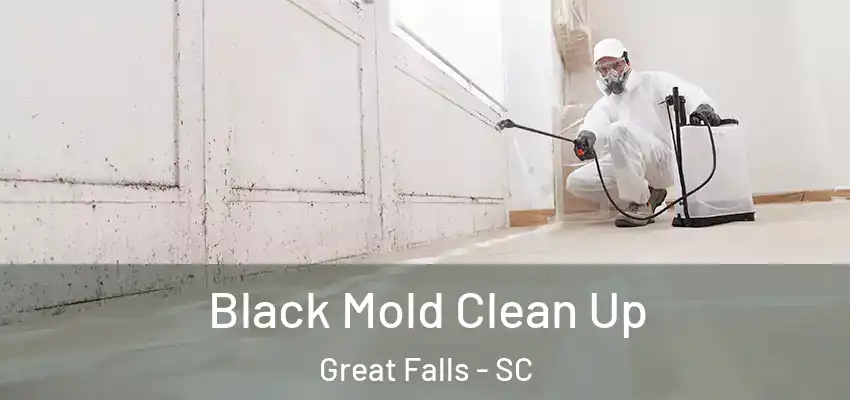  Black Mold Clean Up Great Falls - SC