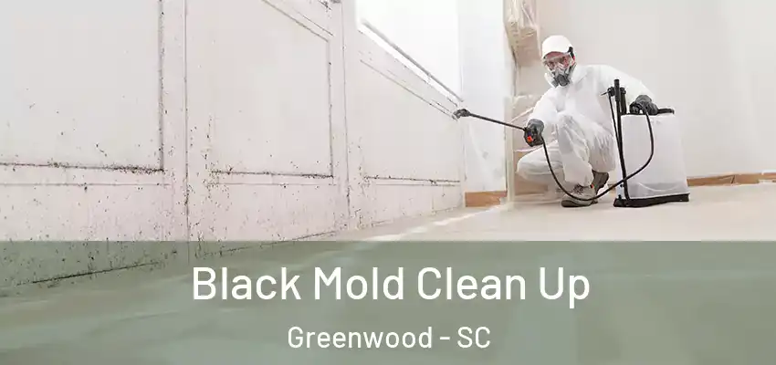  Black Mold Clean Up Greenwood - SC