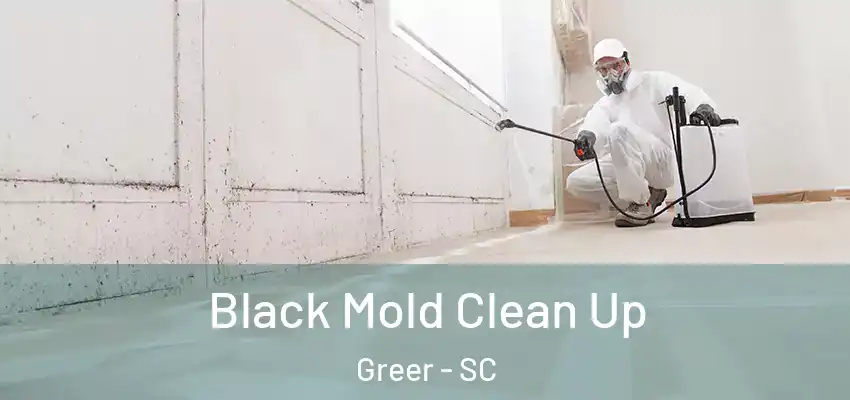 Black Mold Clean Up Greer - SC