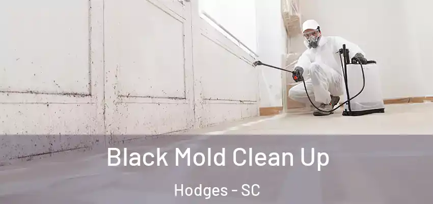  Black Mold Clean Up Hodges - SC