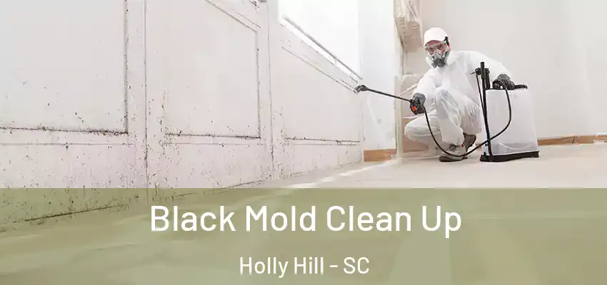  Black Mold Clean Up Holly Hill - SC
