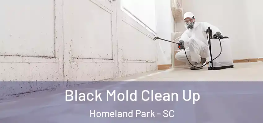 Black Mold Clean Up Homeland Park - SC