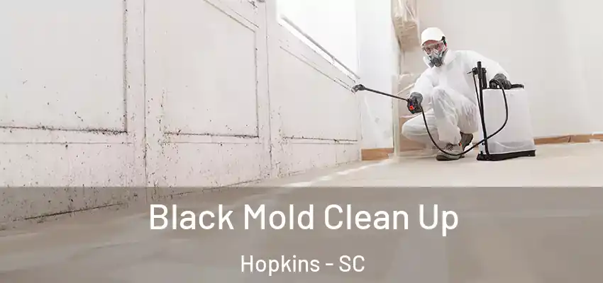  Black Mold Clean Up Hopkins - SC