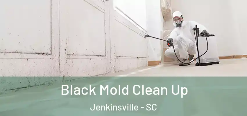  Black Mold Clean Up Jenkinsville - SC