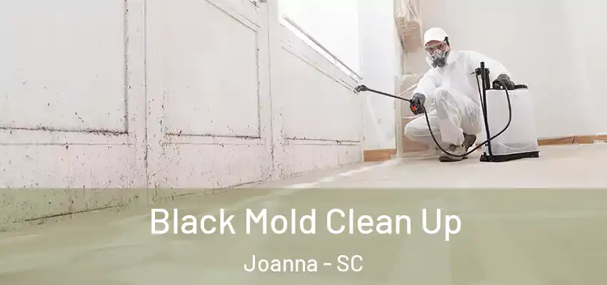  Black Mold Clean Up Joanna - SC
