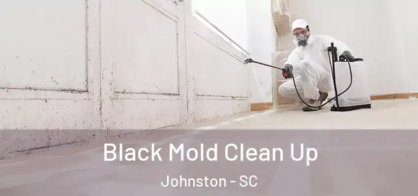 Black Mold Clean Up Johnston - SC