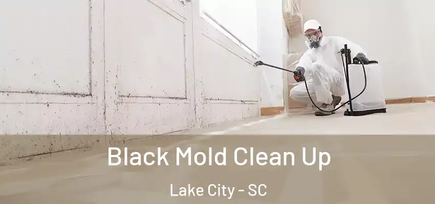  Black Mold Clean Up Lake City - SC