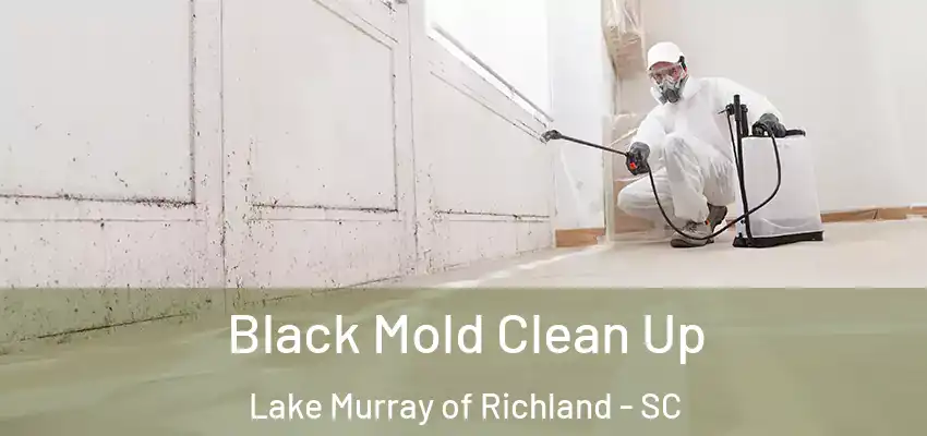 Black Mold Clean Up Lake Murray of Richland - SC
