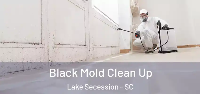 Black Mold Clean Up Lake Secession - SC