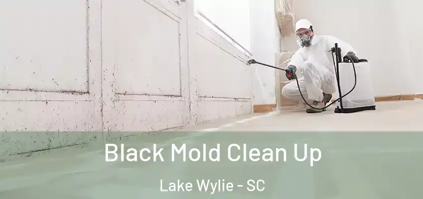 Black Mold Clean Up Lake Wylie - SC