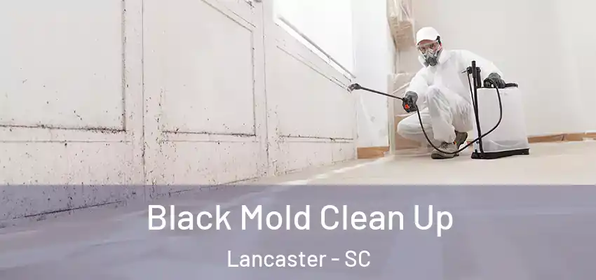  Black Mold Clean Up Lancaster - SC