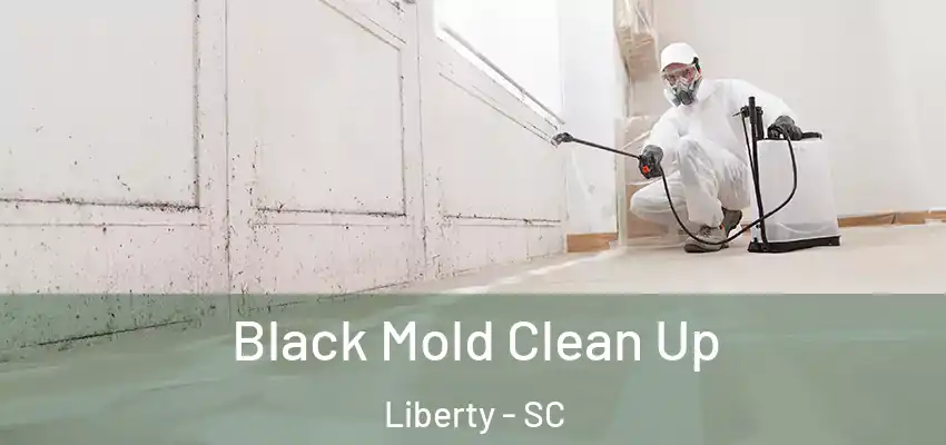  Black Mold Clean Up Liberty - SC