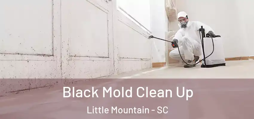  Black Mold Clean Up Little Mountain - SC
