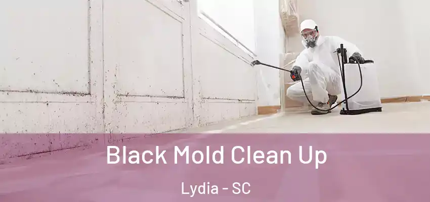 Black Mold Clean Up Lydia - SC