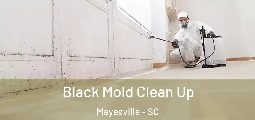  Black Mold Clean Up Mayesville - SC
