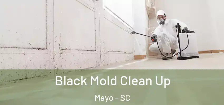  Black Mold Clean Up Mayo - SC