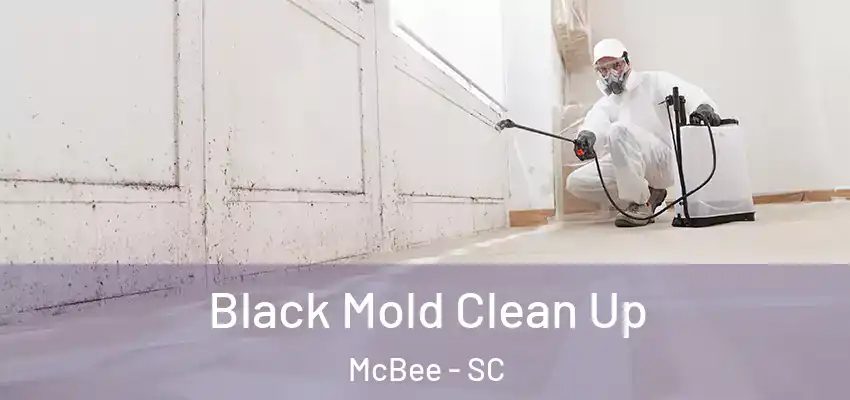  Black Mold Clean Up McBee - SC