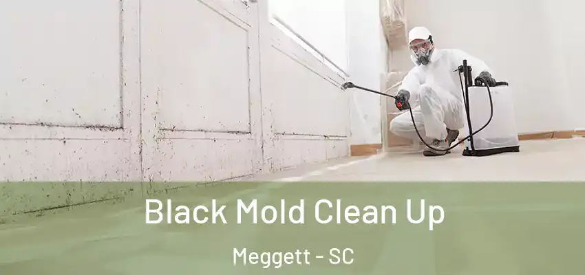 Black Mold Clean Up Meggett - SC