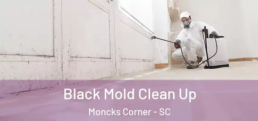 Black Mold Clean Up Moncks Corner - SC
