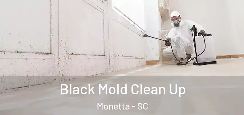 Black Mold Clean Up Monetta - SC