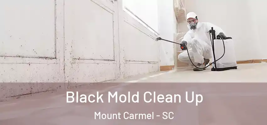  Black Mold Clean Up Mount Carmel - SC